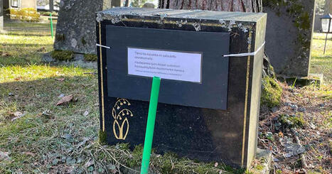 Yh&auml; useammalla haudalla on jatkossa kierr&auml;tetty muistokivi &ndash; vaihtoehto on sek&auml; edullinen ett&auml; ekologinen | Kotimaa | Yle | 1Uutiset - Lukemisen t&auml;hden | Scoop.it