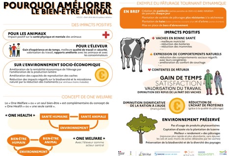[Infographie] Pourquoi améliorer le bien-être des animaux ? | Lait de Normandie... et d'ailleurs | Scoop.it