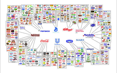 4 Key Groups That Food Corporations Must Support to Facilitate Regeneration | Local delivery for Gene Directed Enzyme Prodrug Therapy | Scoop.it