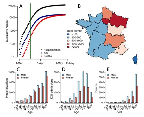 Estimating the burden of SARS-CoV-2 in France | Life Sciences Université Paris-Saclay | Scoop.it