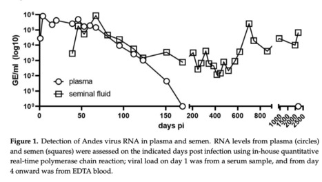 Persistence of Andes Virus RNA in Human Semen&nbsp; | Virus World | Scoop.it