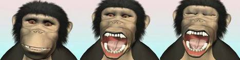 Chimps Catch Yawns from Cartoon | LiveScience | Empathy and Animals | Scoop.it