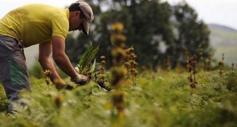 La biodiversit&eacute; au c&oelig;ur des rencontres scientifiques du PNR des Pyr&eacute;n&eacute;es ari&eacute;geoises | Biodiversit&eacute; | Scoop.it