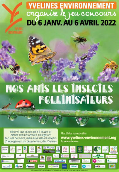 Yvelines : un jeu-concours pour sensibiliser les enfants à l'importance des insectes pollinisateurs | Variétés entomologiques | Scoop.it