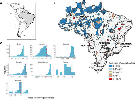 The role of protected areas in maintaining natural vegetation in Brazil | Biodiversité | Scoop.it