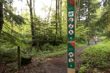 Parc du Jorat: la signalétique a été renouvelée | Tourisme Durable - Slow | Scoop.it