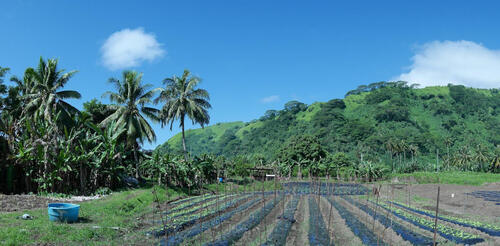 Sorry! Image not available at this time