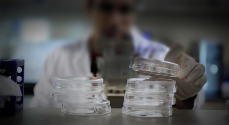 Press Release - News - Histogenics | Rheumatology-Rhumatologie | Scoop.it