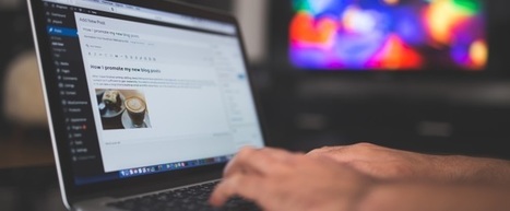 WordPress sicher machen: Tipps zum richtigen Umgang mit Themes, Plug-ins und Server | Wordpress-Webdesign | Scoop.it