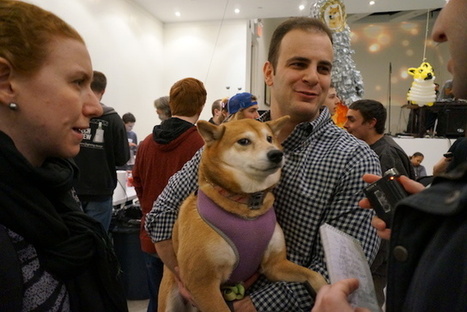 Dogecoin Is Real—And They Party With Dogs - The Awl | Peer2Politics | Scoop.it