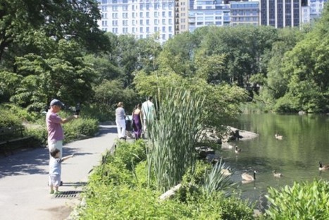 The Nature of Cities | A collective blog on cities as ecological spaces | Digital Delights - Digital Tribes | Scoop.it