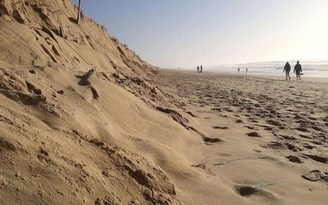 Érosion dans les Landes : 180 000 euros pour Biscarrosse-Plage | Landes | Scoop.it