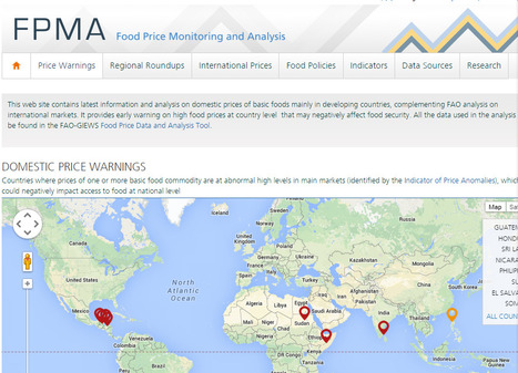 FAO | Food Price Monitoring and Analysis | MED-Amin network | Scoop.it
