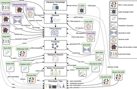 Artificial intelligence tools for enzyme engineering and metabolic engineering | cin | RMH | Scoop.it