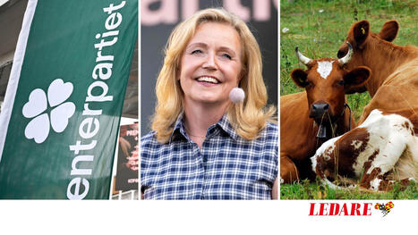 Kom igen, ni &auml;r<br/>ju ett h&ouml;gerparti | Ledare | Expressen | A1Uutiset | Scoop.it