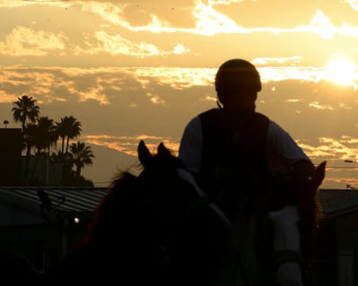 Carvelli Appointed to California Horse Racing Board - BloodHorse | Racing News | Scoop.it