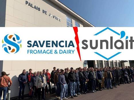 Au Tribunal, Sunlait réclame 111 millions d'euros à Savencia : verdict attendu le 28 novembre | Lait de Normandie... et d'ailleurs | Scoop.it