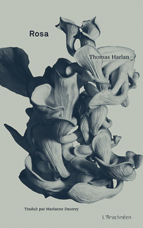 [parution] "Rosa" de Thomas Harlan, en traduction française de Marianne Dautrey | Hallo France,  Hallo Deutschland     !!!! | Scoop.it