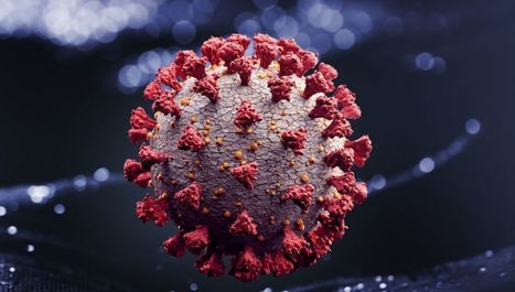 Comment meurent les virus ? | EntomoScience | Scoop.it