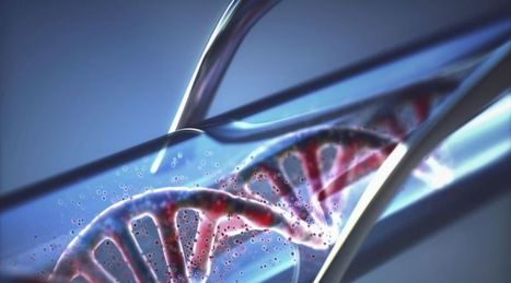 Projet de Loi Bio&eacute;thique : le vertige d&rsquo;un monde sans p&egrave;re | Bio&eacute;thique & Procr&eacute;ation | Scoop.it