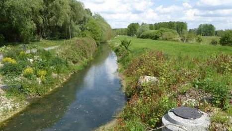 Zones humides : le sobre anniversaire de la Convention Ramsar | Vers la transition des territoires ! | Scoop.it