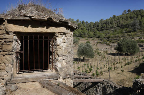 SPAIN : Abadal Arboset, the great Catalan wine that came from an abandoned stone hut  | CIHEAM Press Review | Scoop.it