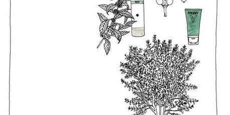 Graines de beaut&eacute; : couleur caf&eacute;ine | Voyages,Tourisme et Transports... | Scoop.it