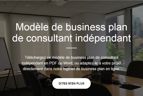 Modele De Business Plan De Consultant In