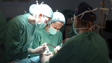 La OMS publica un documento sobre el modelo de Evaluación de Impacto en Salud en Andalucía | Evaluación de Políticas Públicas - Actualidad y noticias | Scoop.it