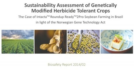 Agencia Noruega Medio Ambiente: no hay suficientes evidencias científicas de que los transgénicos sean inocuos | PIENSA en VERDE | Scoop.it