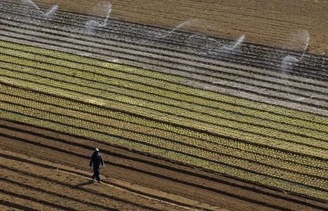 Le ministre de l'Ecologie veut agir contre les pesticides | Variétés entomologiques | Scoop.it