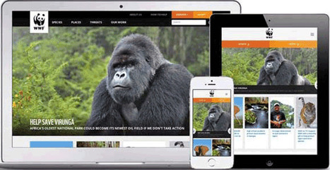 Great Responsive Web Design: 12 Examples via Cyber Duck | Must Design | Scoop.it