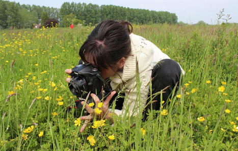 Identifier les esp&egrave;ces, recenser les insectes, prendre en photo&hellip; Quand la science fait appel au public - 20 minutes | Biodiversit&eacute; | Scoop.it