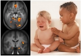WorkShop!  The Social Brain and Empathy | Teaching Empathy | Scoop.it