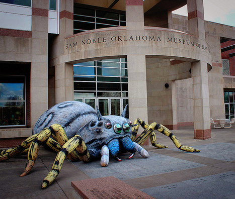 "Beautiful Beasts" Exhibit at the Sam Noble Museum | Insect Archive | Scoop.it