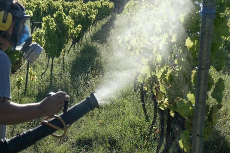 Des pesticides interdits « régulièrement source d’intoxications » en France | Toxique, soyons vigilant ! | Scoop.it
