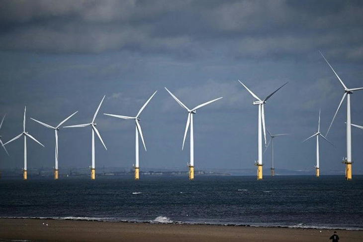 Éolien en mer, qui dérange-t-il ?