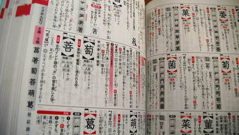 Libri (in italiano) per lo studio del giapponese | NOTIZIE DAL MONDO DELLA TRADUZIONE | Scoop.it