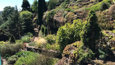 INSOLITE. Dans cette grotte miraculeuse se sont r&eacute;fugi&eacute;s les malades de l'&eacute;pid&eacute;mie dansante de 1518 | Th&eacute;matique culture et histoire de l'Alsace | Scoop.it