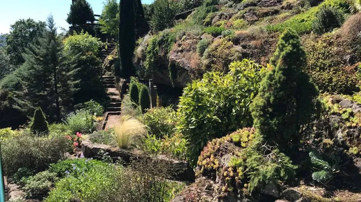 INSOLITE. Dans cette grotte miraculeuse se sont r&eacute;fugi&eacute;s les malades de l'&eacute;pid&eacute;mie dansante de 1518 | Th&eacute;matique culture et histoire de l'Alsace | Scoop.it