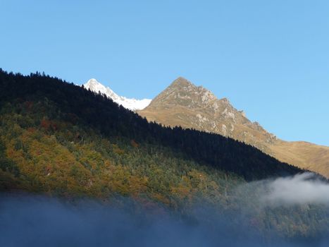 Le fauve Arbizon - Montagne Pyrénées | Vallées d'Aure & Louron - Pyrénées | Scoop.it