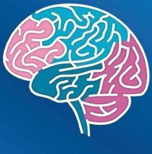 La semaine du cerveau débute aujourd'hui - La Dépêche | Les laboratoires du CNRS Occitanie Ouest dans la presse | Scoop.it