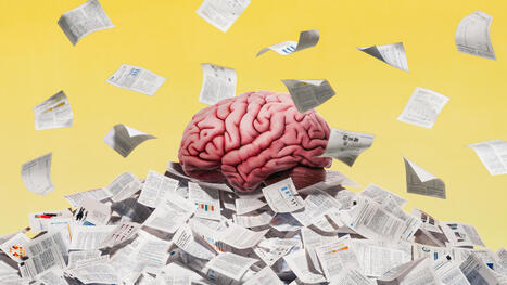 The ten most significant education studies of 2025 | Learning & Technology News | Scoop.it