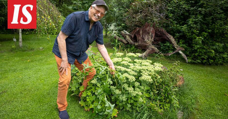 Arboretum Frick Kangasalla &ndash; pankinjohtaja toteutti pihallaan uskomattoman projektin | 1Uutiset - Lukemisen t&auml;hden | Scoop.it