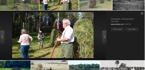 Heinänteko | 1Uutiset - Lukemisen tähden | Scoop.it