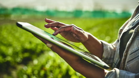 Les jumeaux numériques au service de l'agroécologie : le pari de Twinfarms | Economie de l'Elevage | Scoop.it