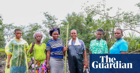 AFRICA : One green shoot at a time: the WOMEN restoring mangrove forests in the oil-ravaged Niger delta&nbsp; | CIHEAM Press Review | Scoop.it