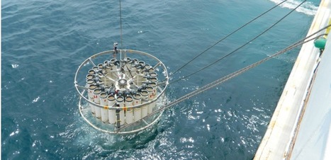 Fukushima : il y a toujours des fuites radioactives dans l'océan. En voici la preuve | Japan Tsunami | Scoop.it