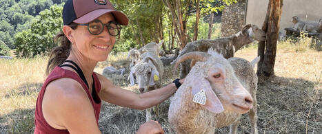 PORTRAIT. "L&rsquo;engagement, &ccedil;a me parle" : &eacute;leveuse de ch&egrave;vres angora et nouvelle maire d&rsquo;Aulon, elle perp&eacute;tue un rare savoir-faire dans les Hautes-Pyr&eacute;n&eacute;es | Vall&eacute;es d'Aure & Louron - Pyr&eacute;n&eacute;es | Scoop.it