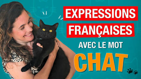 14 expressions françaises avec le mot « chat » | FLE CÔTÉ COURS | Scoop.it